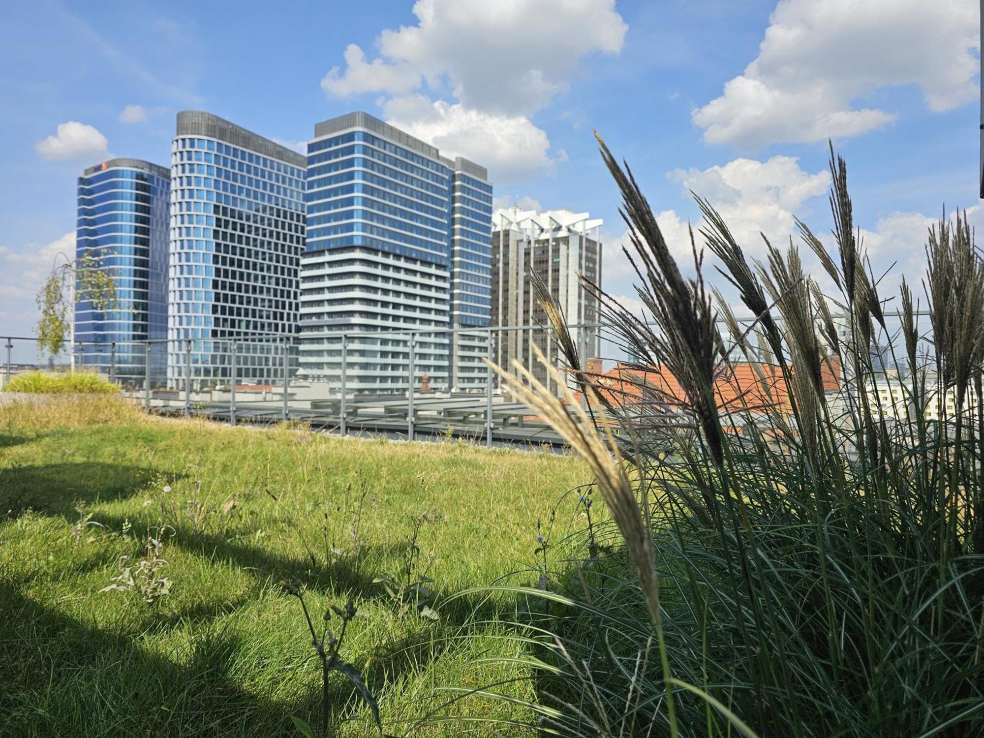 Urban Apartments Premium, Opolska 10 No 36, Free Garage, Self Check-In كاتوفيتسه المظهر الخارجي الصورة